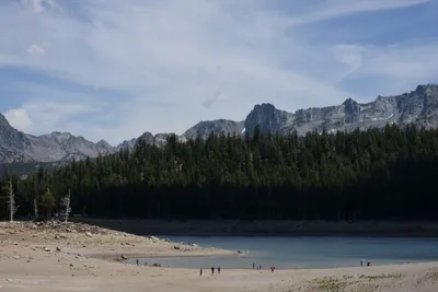 DSC_3173 (Large).JPG